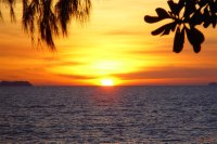 Click for large version